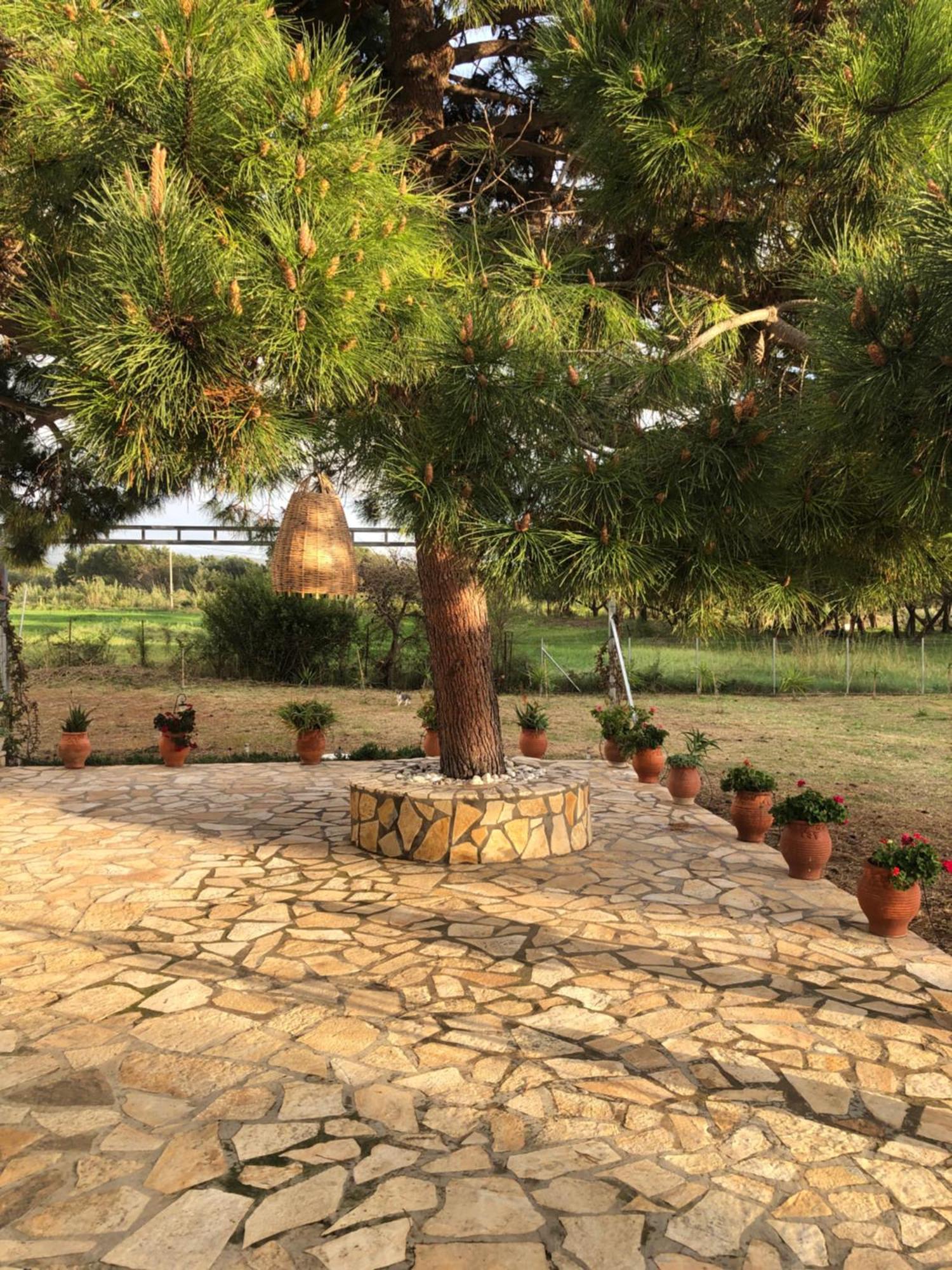 Seaside Retreat House Villa Kakovatos Exterior photo